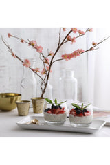 Set 6 Cupe Desert Dolce, Transparent, 325 cc