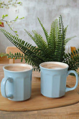 Set cani, Albastru, 9 cm