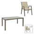 mobilier de gradina Set dining Lafla-Azelie, 9 piese, Sampanie-Natural, 160-240x100x75 cm