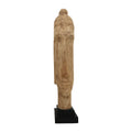 Accesoriu Decorativ Statueta Buddha Dran bust lemn de mango Natural 12x12x63 cm