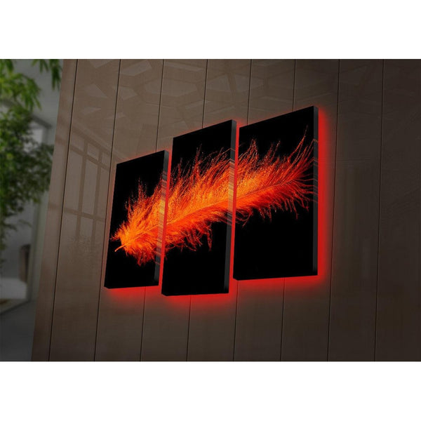Tablou Canvas cu Led Pana Rosu, Multicolor, 66x45 cm