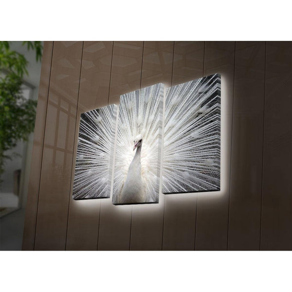 Tablou Canvas cu Led Paun, Multicolor, 66x45 cm