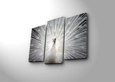Tablou Canvas cu Led Paun, Multicolor, 66 x 45 cm
