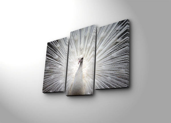 Tablou Canvas cu Led Paun, Multicolor, 66x45 cm