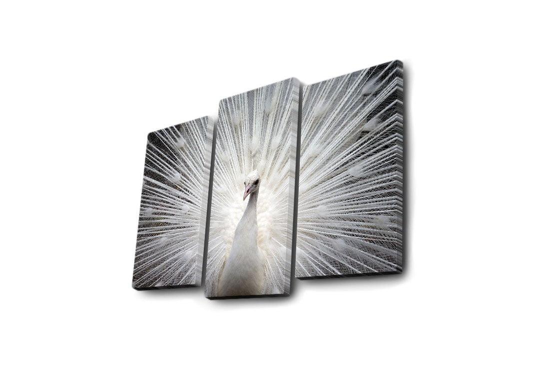 Tablou Canvas cu Led Paun, Multicolor, 66 x 45 cm