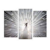 Tablou Canvas cu Led Paun, Multicolor, 66 x 45 cm