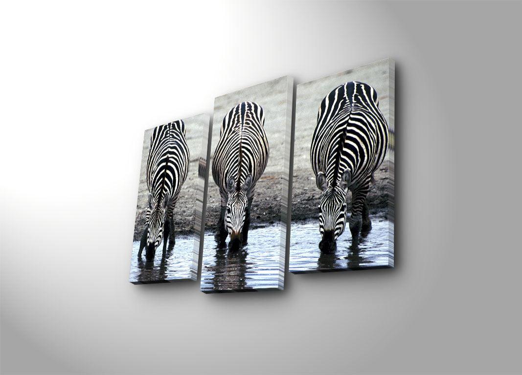 Tablou Canvas cu Led Zebra, Multicolor, 66 x 45 cm