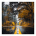 Tablou canvas imprimat digital Savgone 50x50 cm