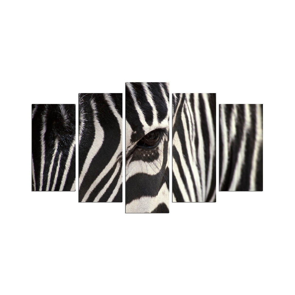 Tablou MDF ( 5 buc ) Zebra, Multicolor, 60x110 cm