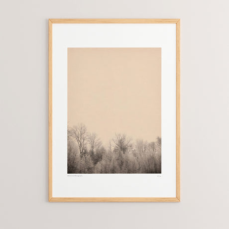Tablou Quany, Multicolor, 33x48 cm
