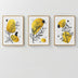 Tablou Triptic Jerif, Ramă Lemn, 33x48 cm