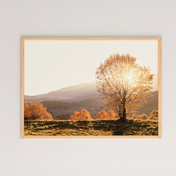 Tablou Vila, Multicolor, 48x33 cm