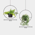 Jardiniere, Negru, 25 x 25 x 25  - 30 x 30 x 30cm