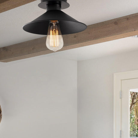 Lustra aplicat Berceste