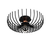 Lustra Litup, Negru
