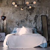 Lustra Luminar, Neagra