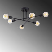 Lustra Luminar, Neagra